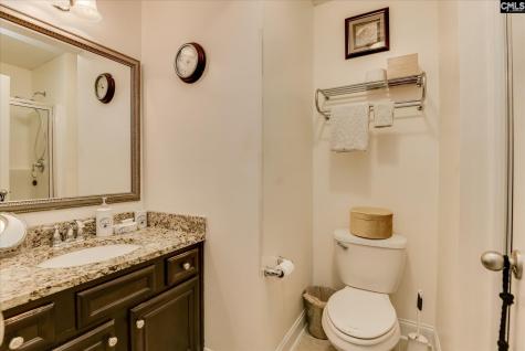 299 Oleander Mill Drive Columbia SC 29229