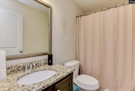 299 Oleander Mill Drive Columbia SC 29229