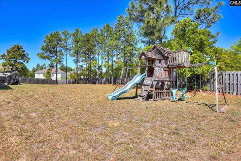 299 Oleander Mill Drive Columbia SC 29229