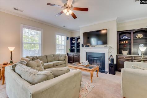 299 Oleander Mill Drive Columbia SC 29229