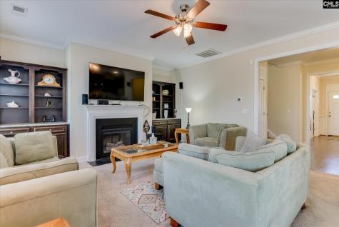 299 Oleander Mill Drive Columbia SC 29229