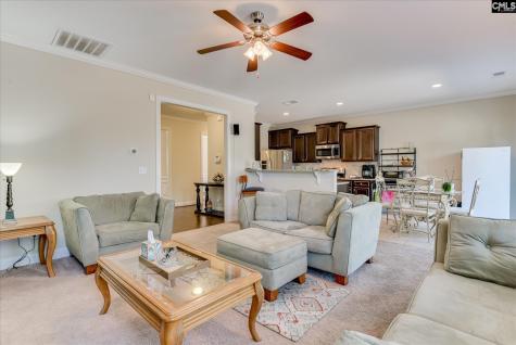 299 Oleander Mill Drive Columbia SC 29229
