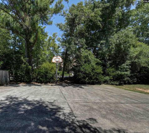 521 Harbour Place Court Lexington SC 29072