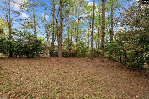 7819 Charles Towne Drive Columbia SC 29209