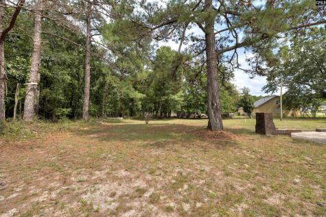 4522 Stagecoach Road Effingham SC 29541