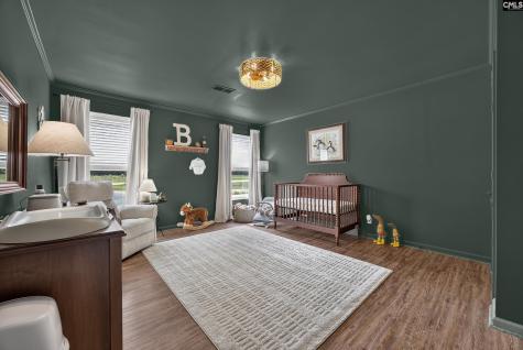234 Equine Drive Saluda SC 29138