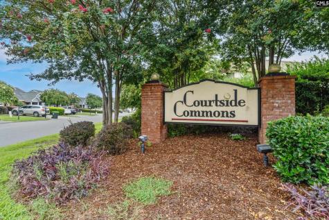 173 Tennis View Court Lexington SC 29073