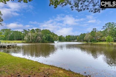 14 Shadow Creek Court Columbia SC 29209