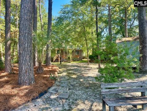 308 N Chelsea Road Columbia SC 29223