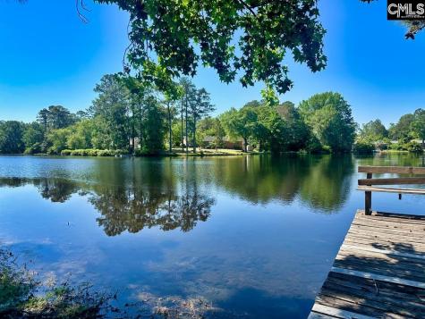 308 N Chelsea Road Columbia SC 29223