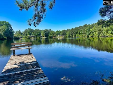 308 N Chelsea Road Columbia SC 29223