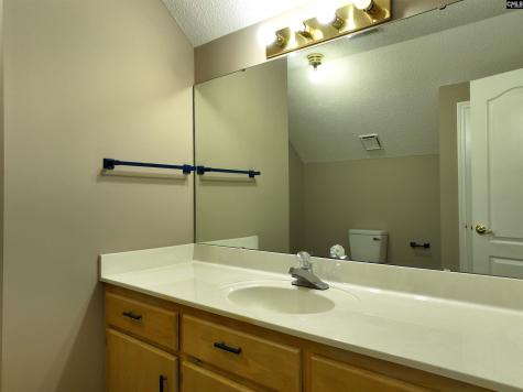 141 Woodstork Way Lexington SC 29073