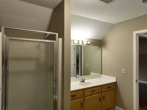 141 Woodstork Way Lexington SC 29073
