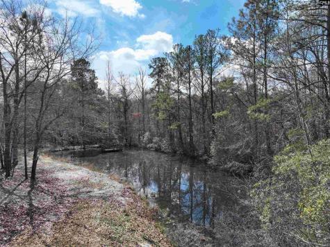 141 Woodstork Way Lexington SC 29073