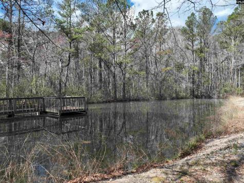 141 Woodstork Way Lexington SC 29073