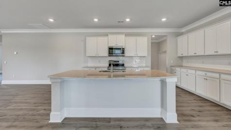 262 Livingston Woods Drive Irmo SC 29063