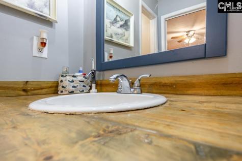 119 Bosworth Field Court Columbia SC 29212