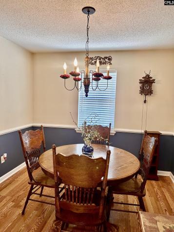 1096 Willow Springs Drive North Augusta SC 29841