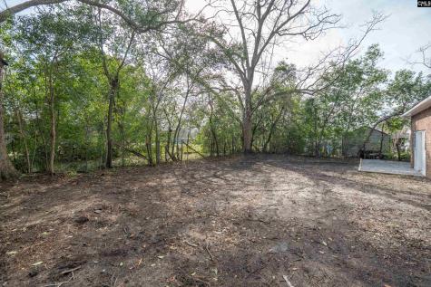 719 Camelia Street North SC 29112