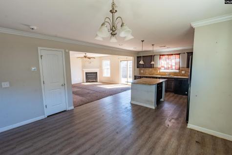 228 Coppice Lane Columbia SC 29223