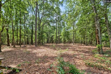 1415 Springvale Road Lugoff SC 29078