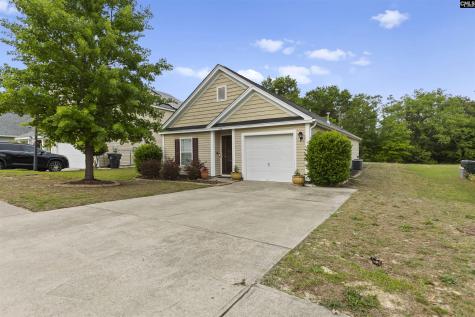 244 Richmond Farm Circle Lexington SC 29072