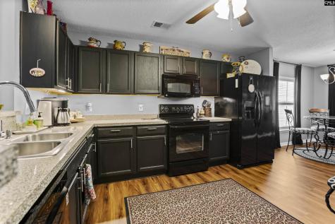 244 Richmond Farm Circle Lexington SC 29072