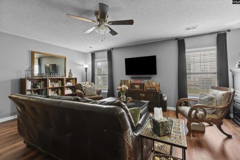 244 Richmond Farm Circle Lexington SC 29072