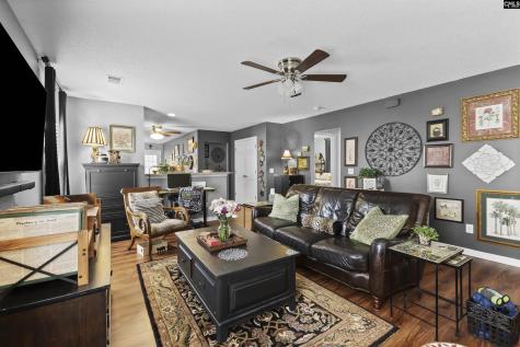 244 Richmond Farm Circle Lexington SC 29072
