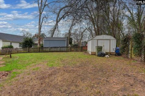 133 Armanda Road Lexington SC 29072