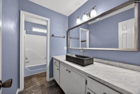 119 Logan Rock Court Irmo SC 29063