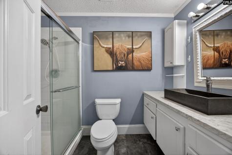 119 Logan Rock Court Irmo SC 29063