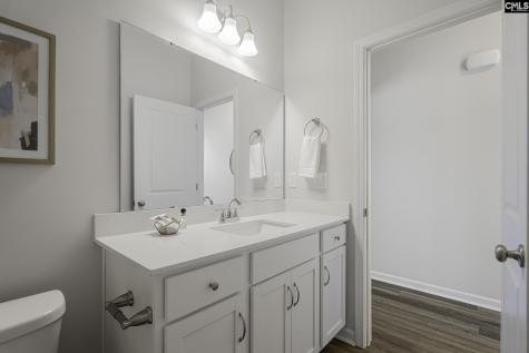 282 Brando Way Columbia SC 29223