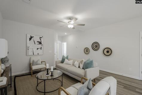 282 Brando Way Columbia SC 29223