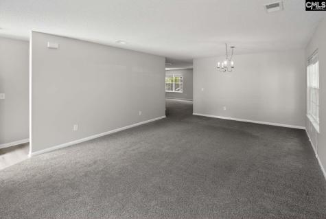 133 Wander Way Lexington SC 29072