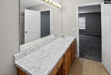 133 Wander Way Lexington SC 29072