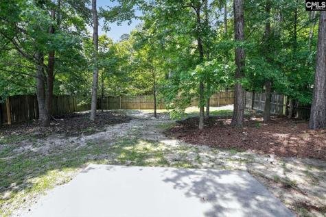 133 Wander Way Lexington SC 29072