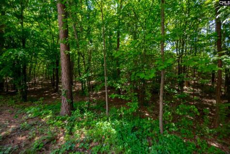221 Allenbrooke Drive Lexington SC 29072