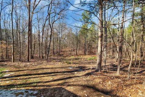 619 Hubbard Drive Lancaster SC 29720-1608