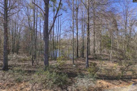 247 Boseman Road Irmo SC 29063