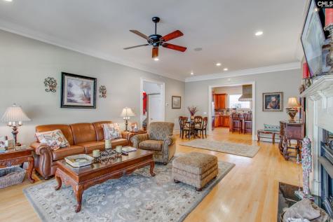 165 Preserve Lane Columbia SC 29209