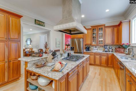165 Preserve Lane Columbia SC 29209