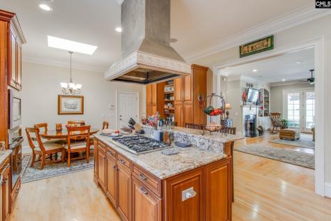 165 Preserve Lane Columbia SC 29209