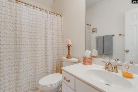 165 Preserve Lane Columbia SC 29209