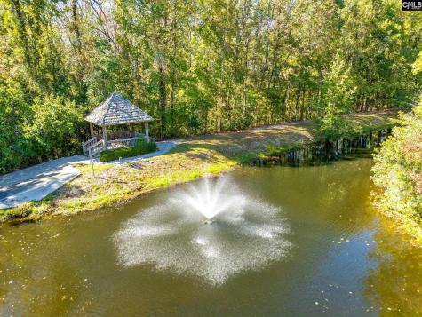 165 Preserve Lane Columbia SC 29209