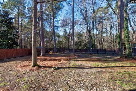 605 Timberleaf Court Columbia SC 29212