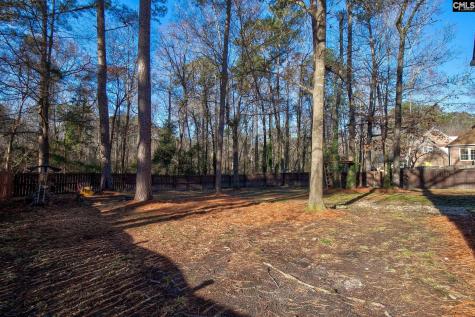 605 Timberleaf Court Columbia SC 29212
