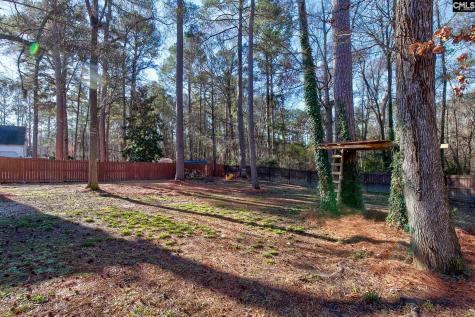 605 Timberleaf Court Columbia SC 29212