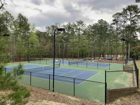 605 Timberleaf Court Columbia SC 29212