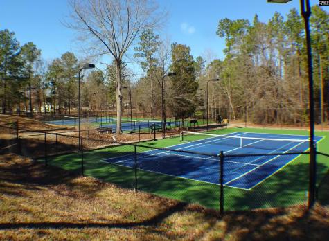 605 Timberleaf Court Columbia SC 29212